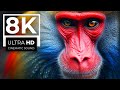 ASTONOSHING 8K ULTRA HD 60FPS ANIMALS | with Realistic Cinematic Sound (color dynamic)