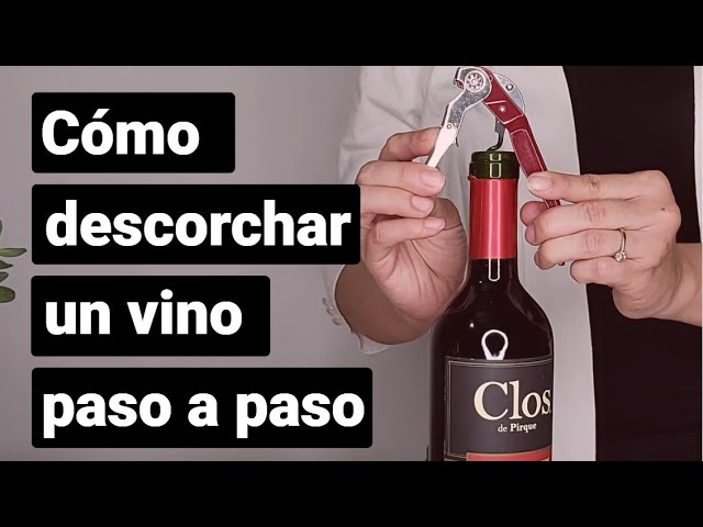 ▷ Cómo abrir una botella de vino • DentroVino • Tipos de sacacorchos