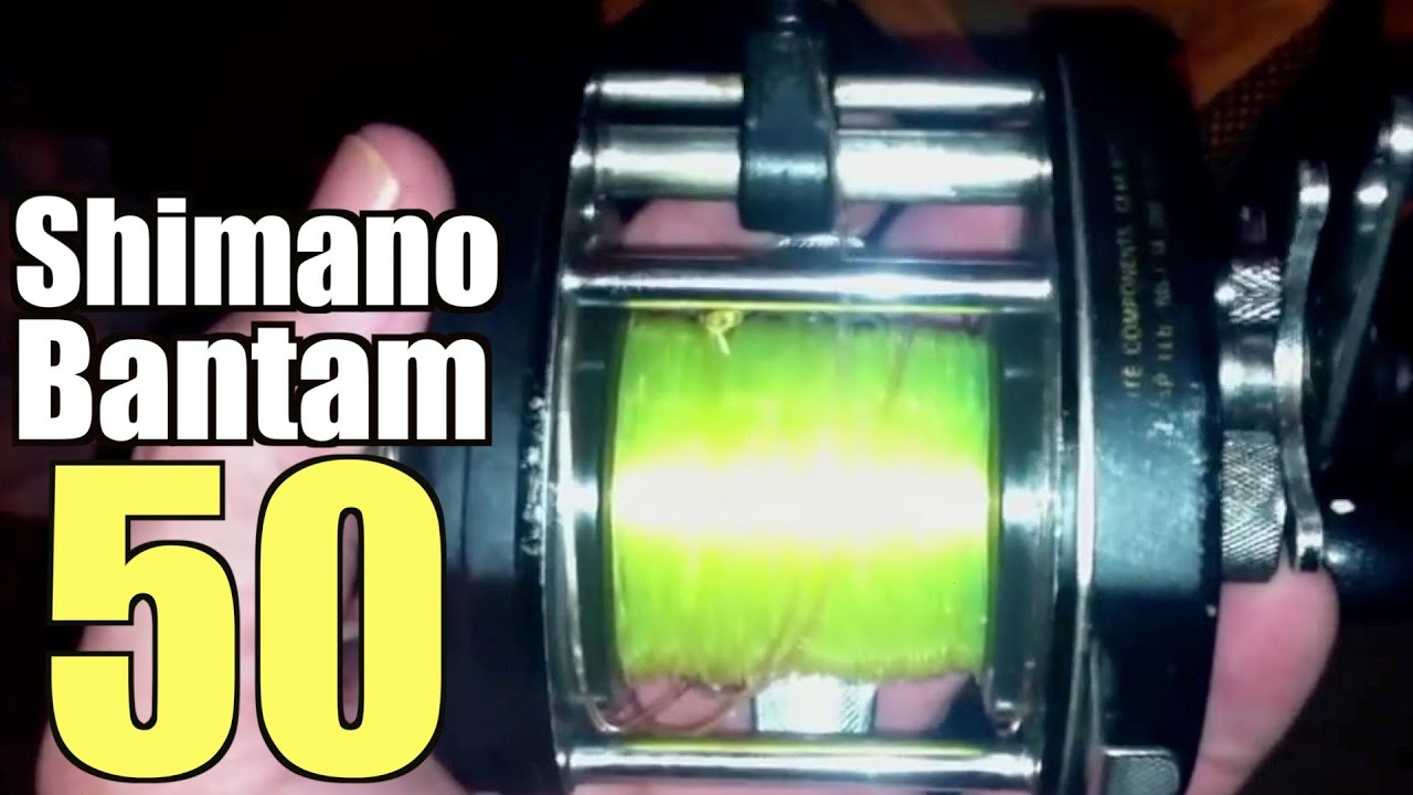 SHIMANO BANTAM 50 The Best Saltwater Baitcast Snook Reel Ever Made! 