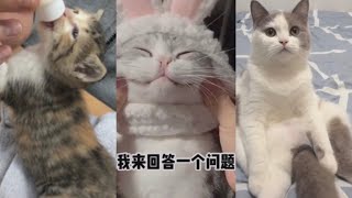 Cute and Funny Cats on TikTok China/Douyin 抖音可爱搞笑猫咪