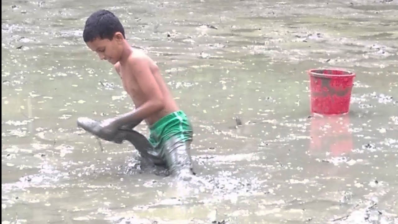 ছোট ছেলেটিকে শোল মাছটি কতবার ধোঁকা দেয়।। Best Murrel fish Hunting।snakehead murrel Catching.part-22