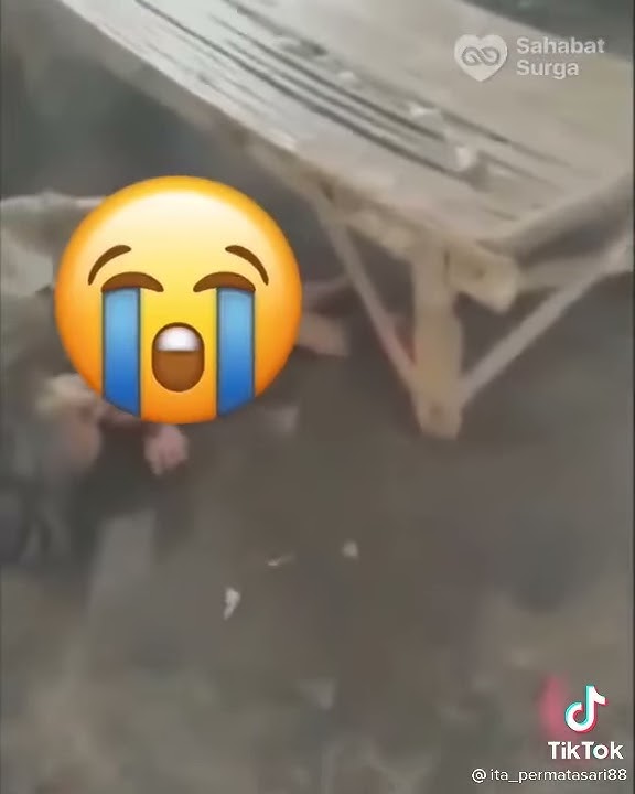 TIKTOK VIRAL..!!!ANAKNYA MANA ?RT?RW?WARGA PADA KE MANA...