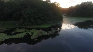 Taking Flight Films-Dusk