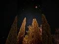 Star Gazing and Updtown Sedona