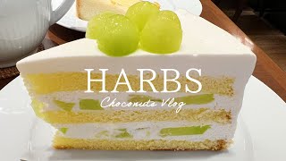 【HARBS】ハーブスの期間限定ケーキとランチが美味しすぎる | 4K Cafe Vlog #87