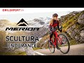 new SCULTURA ENDURANCE (2021) - road endurance bike