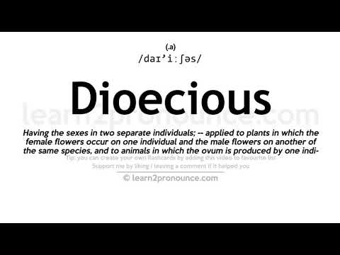 Pronunciation of Dioecious | Definition of Dioecious