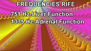 Healing RIFE FREQUENCIES-751 Hz,1335 Hz-Stimulates & Normalizes Body Functions-Emotional & Physical