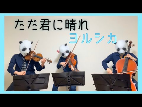 ただ君に晴れ - ヨルシカ
