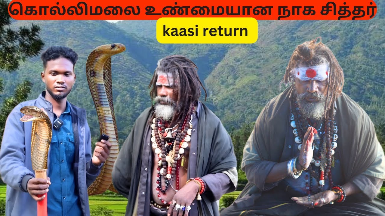 கொல்லிமலையில் வசிக்கும் உண்மையான நாக சித்தர்||இவரைப் பார்த்தாலே பவர்||#kollimalai #sithargal