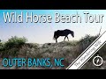 🇺🇸 NORTH CAROLINA: Wild Horse Beach 4X4 Tour | TRAVEL VLOG #0135