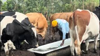 Zashotse umunyu zidacuranwa