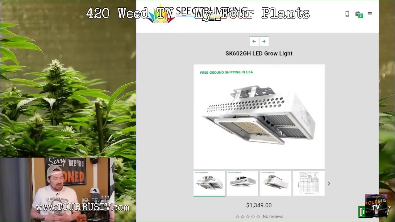 420 Weed TV - My Four Plants - The Adventures of Robin Weed