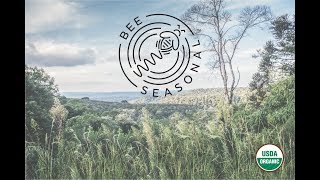 Organic Beekeeping with Bee Seasonal!