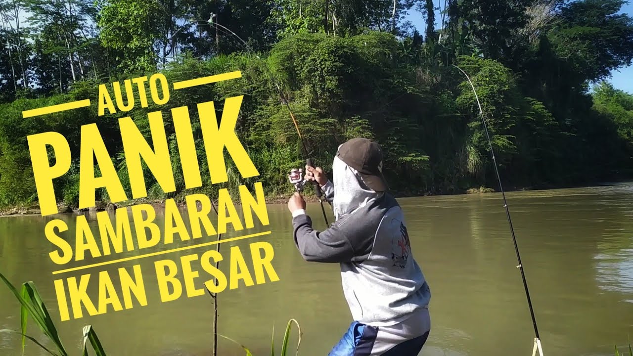 Mancing Ikan Saat Air Keruh... Ini Umpannya