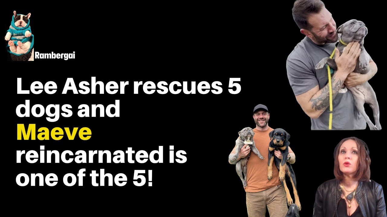 Lee Asher Welcomes A new Maeve To The Asher House Shelter Heartfelt lee-asher-welcomes-a-new-maeve-to-the-asher-house-shelter-heartfelt