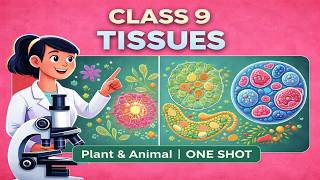 CBSE Class 9 || Biology || Tissues || Animation || in English @digitalguruji3147