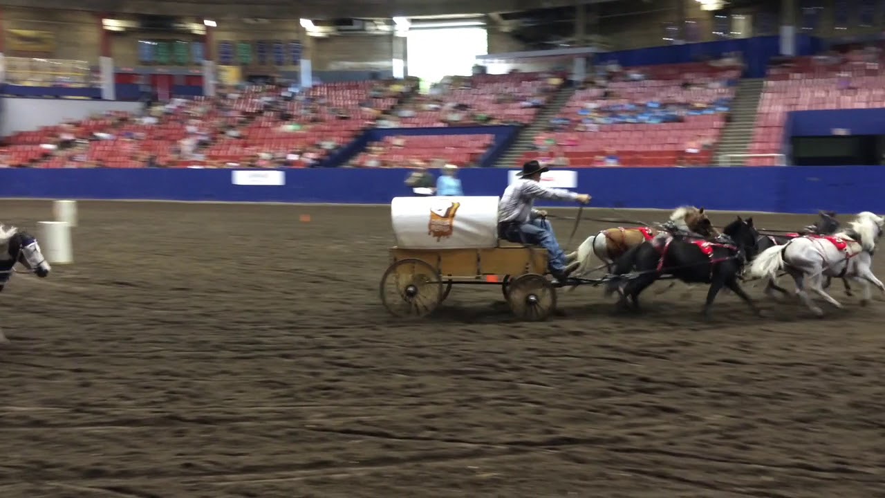 PNE Postcard Miniature Chuckwagon Races YouTube