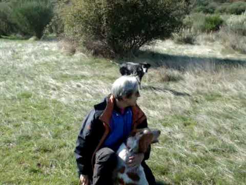 Pilar y los politos
