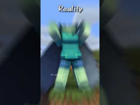 Reality of elytra