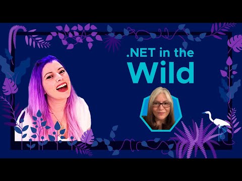 .NET in the Wild with Rachel Appel