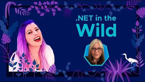 .NET in the Wild with Rachel Appel