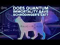 Does Quantum Immortality Save Schrödinger's Cat?