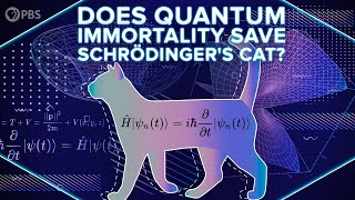 Does Quantum Immortality Save Schrödinger's Cat?