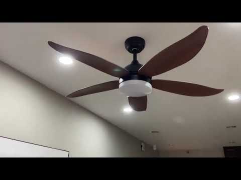Video Mẫu quạt trần đèn phòng ngủ siêu êm siêu mát lại có... - youtube