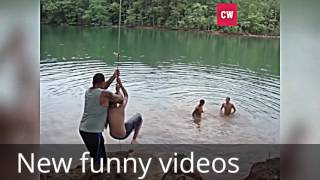 funny videos that make you laugh so hard you cry - funny videos that make you laugh so hard you cry