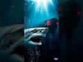 Shark Camera Ne Record Kiya Sabse Bada Raaz… Bermuda Triangle 😨#viral