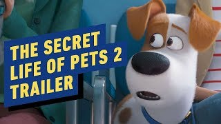 The Secret Life of Pets 2 - Official Trailer (2019) Kevin Hart, Patton Oswalt The Secret Life of Pets 2 - Official Trailer (2019) Kevin Hart, Patton Oswalt