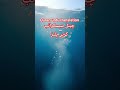 Allah ho akbar Qayamat ka manzar #islamicvideo #trending #ytshorts #viral