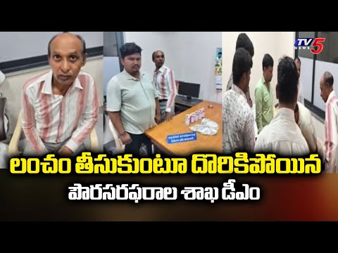 Civil Supplies Department DM NARSING RAO caught Taking bribe by ACB | Asifabad district | Tv5 News