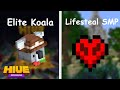 Lifesteal smp application  elite koala lifestealbedrockapp