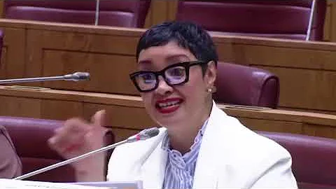 MP Dereleen James Questions Mary de Haas At The Ad-hoc Committee 