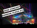 Zedd concert  random vlogs 15