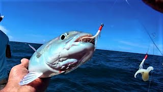 Pêche En Mer 2022 À Lile De La Réunion Fishing 974