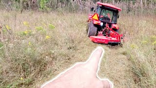 Watch This BEFORE You Use a Brush Cutter! It Could Save Your Life!