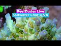 Reefdudes live  saltwater aquarium qa