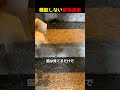 機能しない食物連鎖