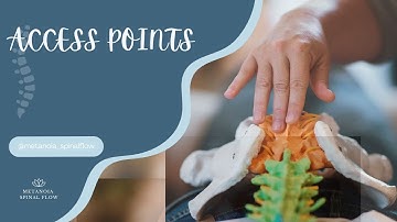 What are the access point in the spinal flow technique?