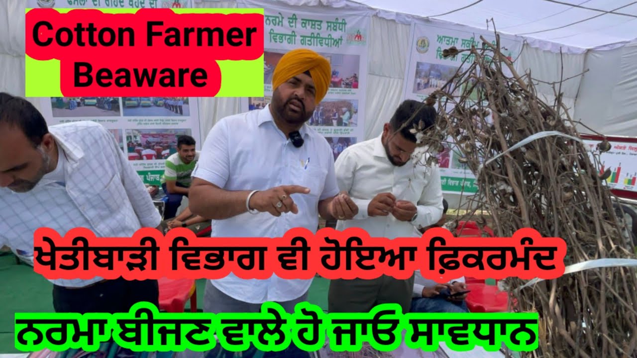 ਜੇਕਰ ਆਹ ਗਲਤੀ ਕਰਲੀ ਤਾਂ ਪਛਤਾਵੇਂਗਾ। ਨਰਮਾ ਬੀਜਣ ਵਾਲੇ ਕਿਸਾਨ ਹੋ ਜਾਣ ਸਾਵਧਾਨ।