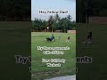 3 MINUTE Solid Body movements: Frog walk + Table Walk + Ape Walk