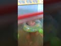 Bayi 4 bulan belajar berenang