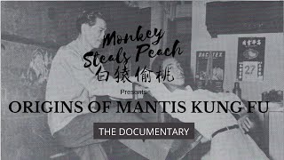 Origins of Mantis Kung Fu p3 - Into the Modern Era