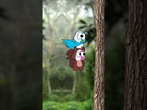 Pimgo Na Corrida dos Animais!