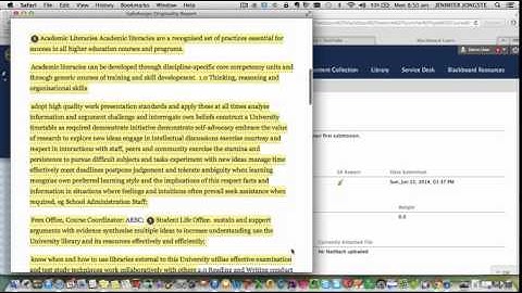 Safe Assign report student view for lecturers