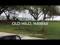 Private Tour of Old Hilo, Hawaii