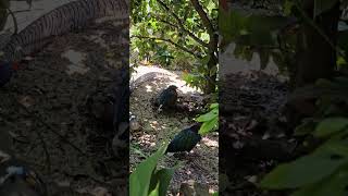 If you truly love nature, you will find beauty  everywhere. #naturewonders #shortsvideo #shorts